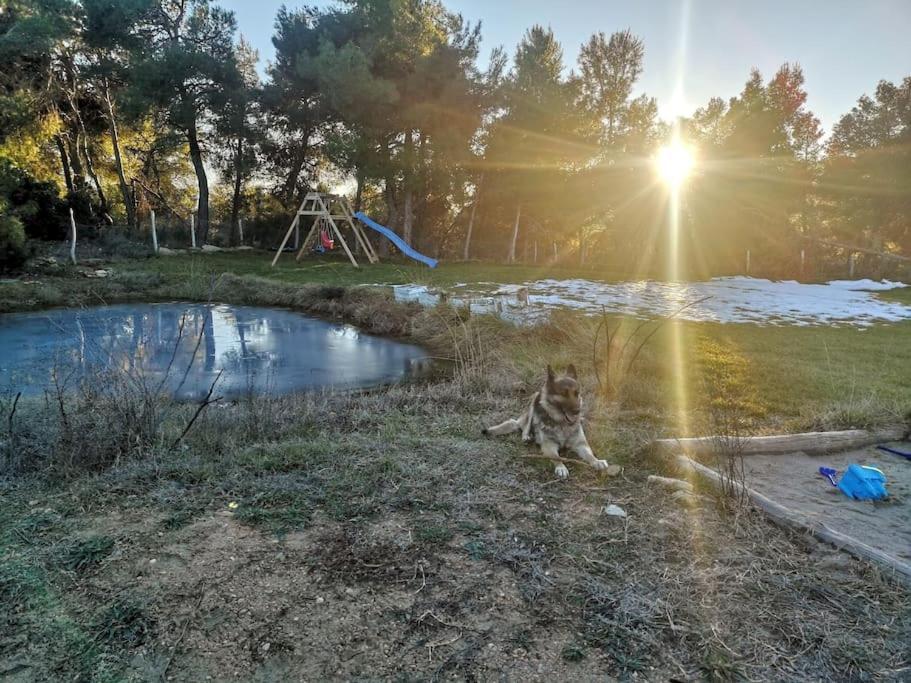 Mas Del Olivar La Portellada Екстер'єр фото